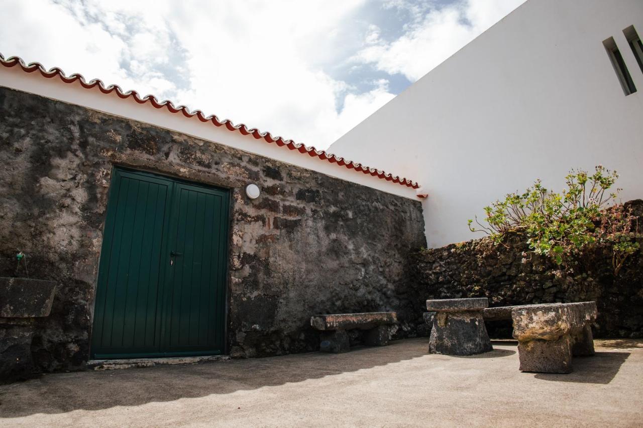 Casa Das Palmeiras São Vicente Ferreira 외부 사진